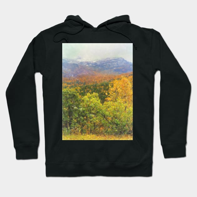 Autumnal Trees and Misty Mountains Hoodie by IanWL